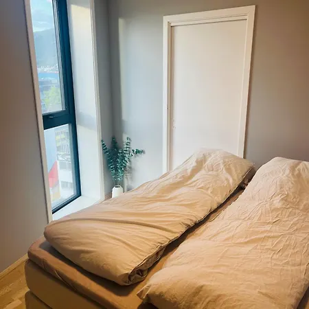 Center 7th Floor With Beautiful View 2 Bedroom Free Parking Tromsø